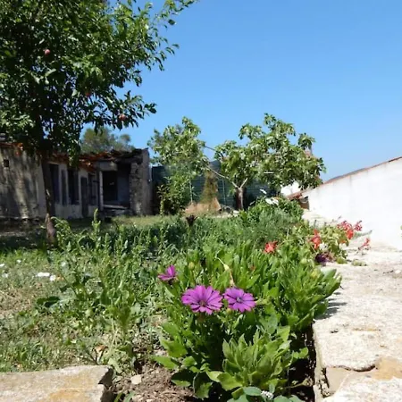 Casa Ventitre Σπίτι διακοπών Marina di Campo